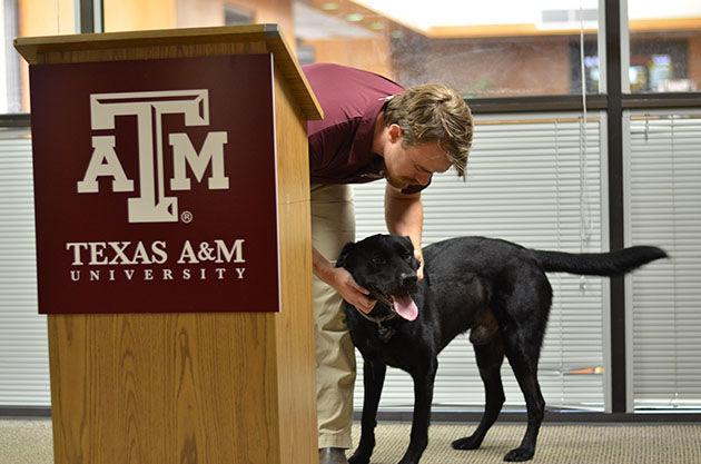 Jonathan Sheen — THE BATTALION
Sgt. William Cole and his dog, Hank, at a media conference Wednesday. 