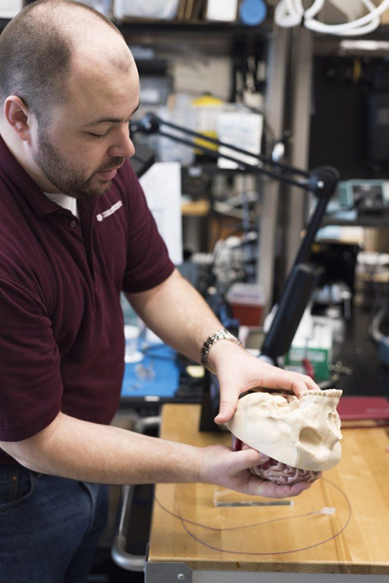<p>Tanner Garza — THE BATTALION</p><p>Tony Boyle, a biomedical engineering graduate student who is involved with Duncan Maitland’s research, shows the anatomy of the human brain.</p><p> </p>