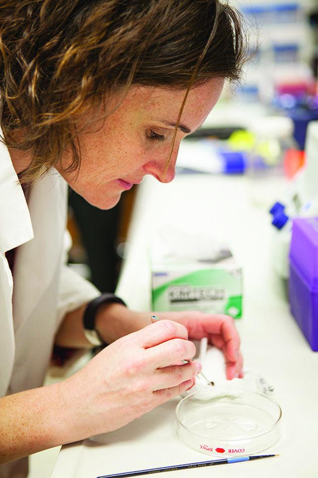 Maria Esteve-Gassent examines a tick sample at the Lyme Lab.