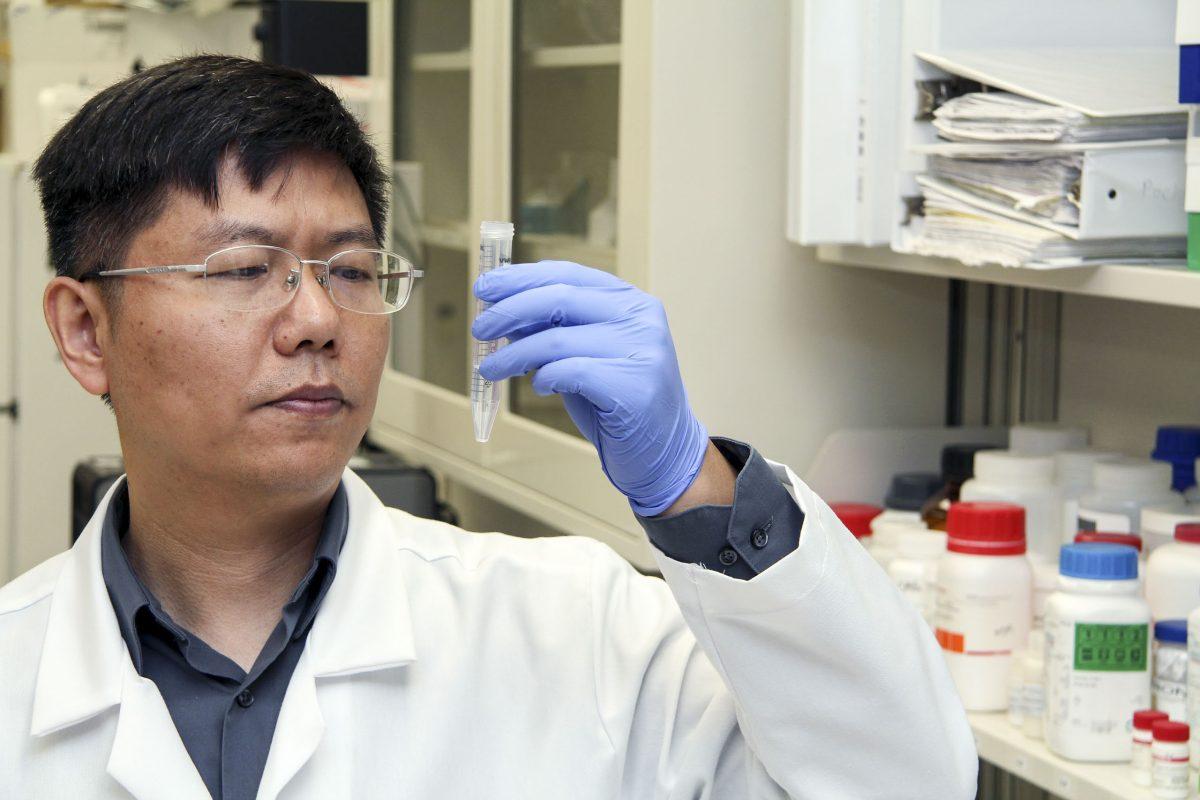 <p>Dr. Zhu conducts research to find a new way for chemotherapy to attack only cancer cells.</p>
