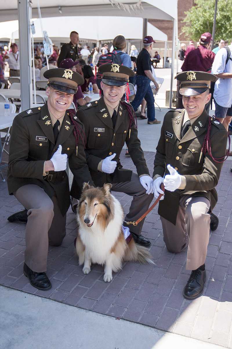 Reveille VIII makes an appearance at the Camaraderie Barbeque held Tuesday afternoon