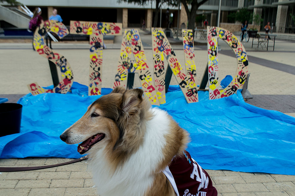 Reveille joins the 24-hour stand in Thursday afternoon.