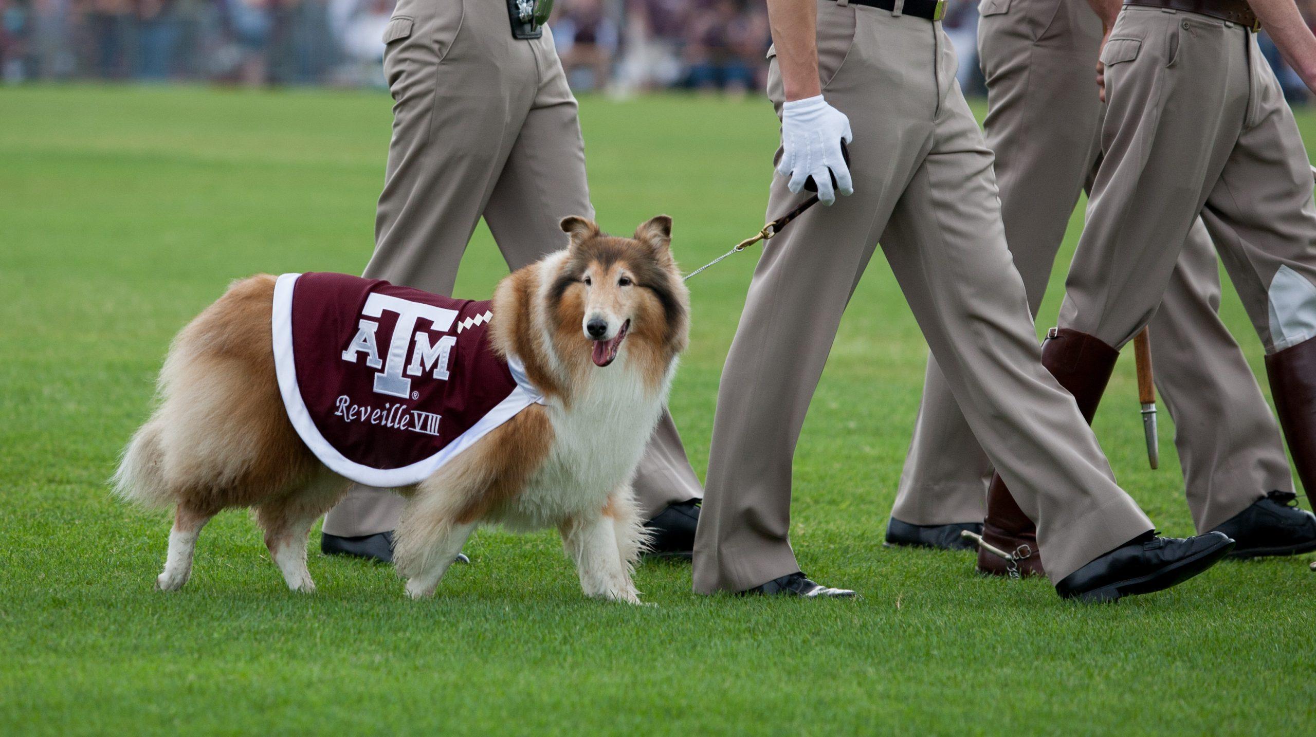 Cadets transfer ranks in annual Final Review