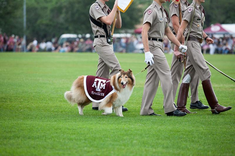 Cadets+transfer+ranks+in+annual+Final+Review