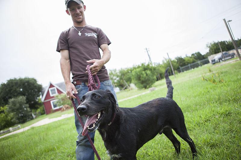 Volunteers save animals from euthanization