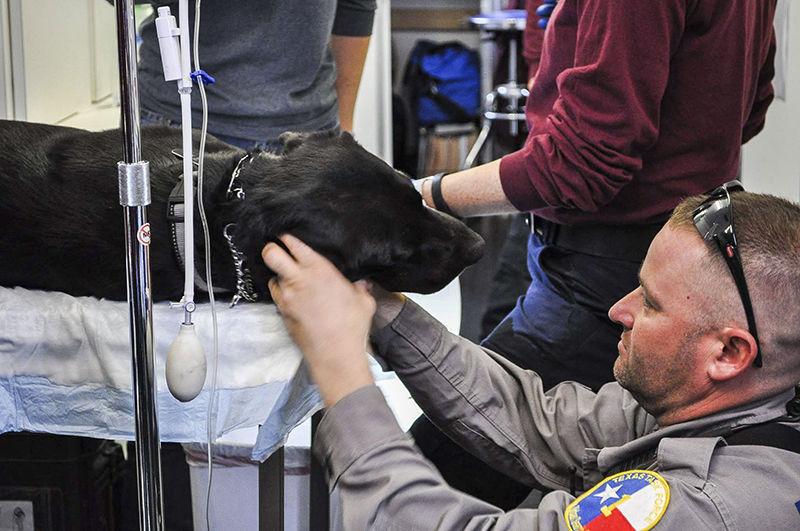 VET responds to Texas floods