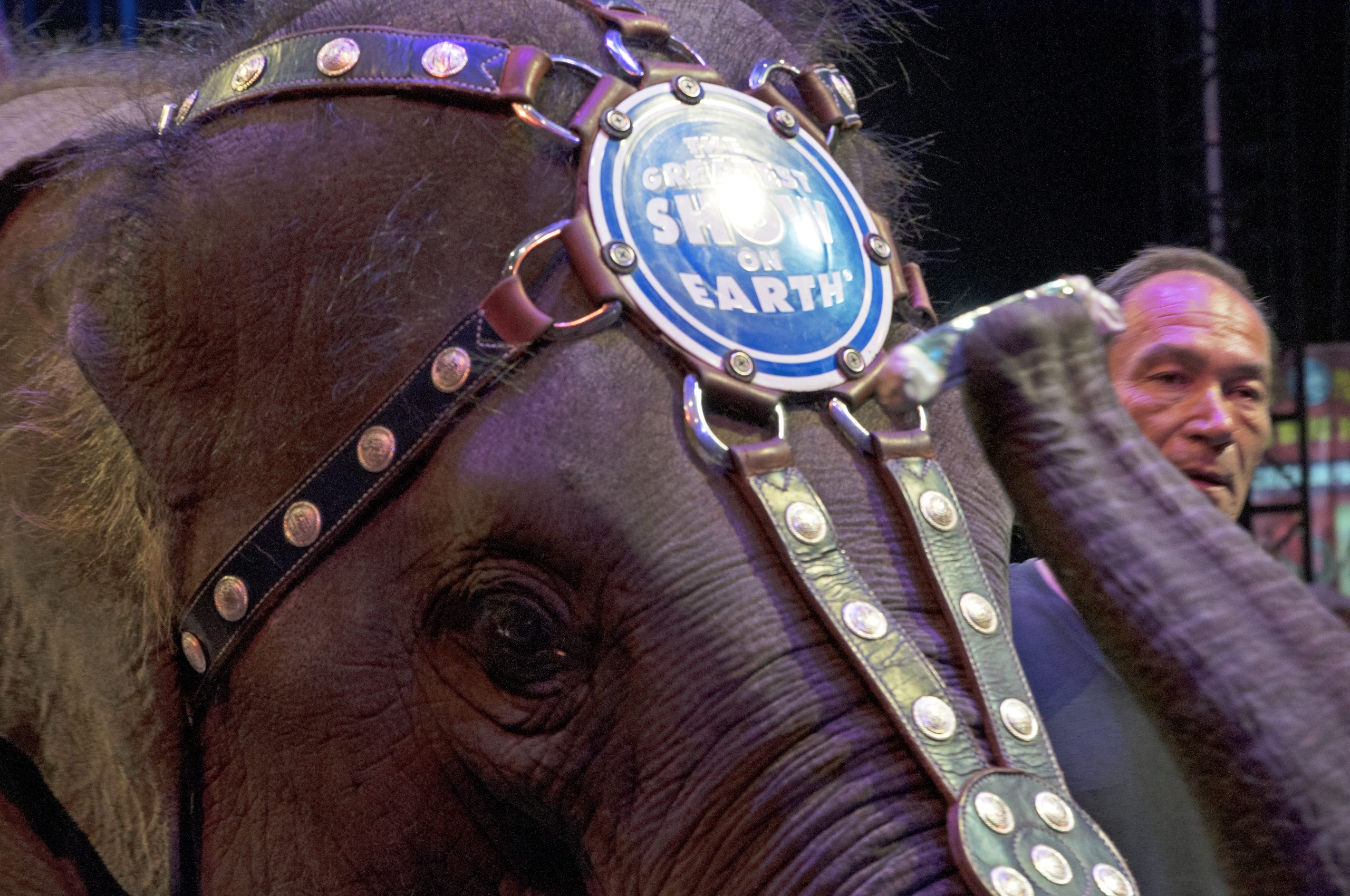 Ringling Bros Circus