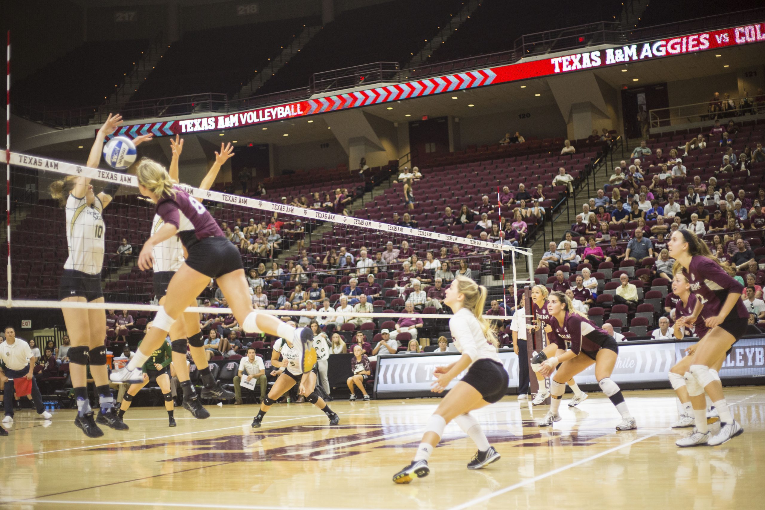 TAMU+Volleyball+vs+Colorado+State