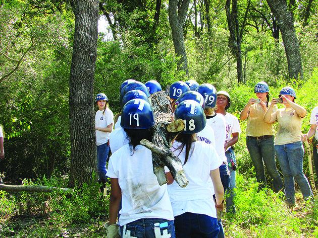 First Cut kicks off Student Bonfire