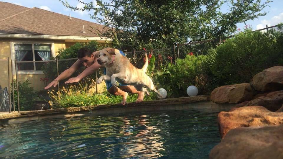 Hunter Lutto  dives into a pool with his dog Cheesy.