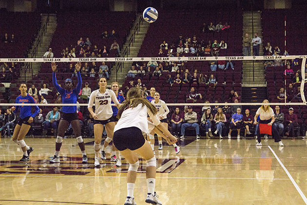 Volleyball+vs+Florida