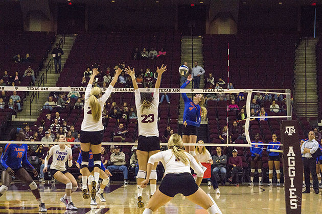 Volleyball vs Florida