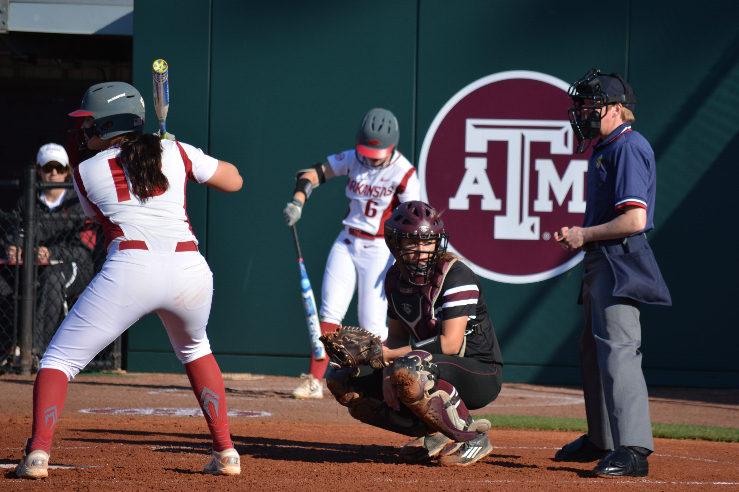 Softball vs. Arkansas