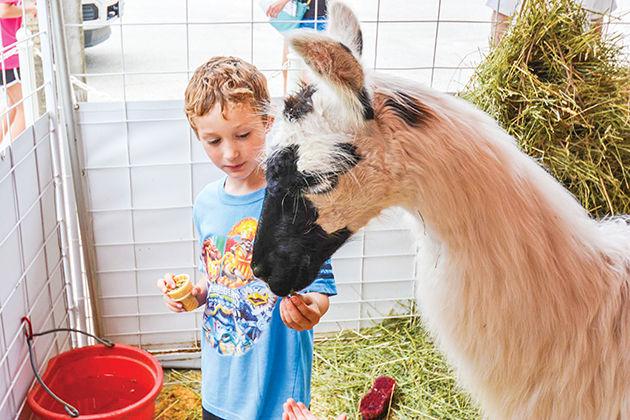 The Open House featured various activities for visitors, including a petting zoo.