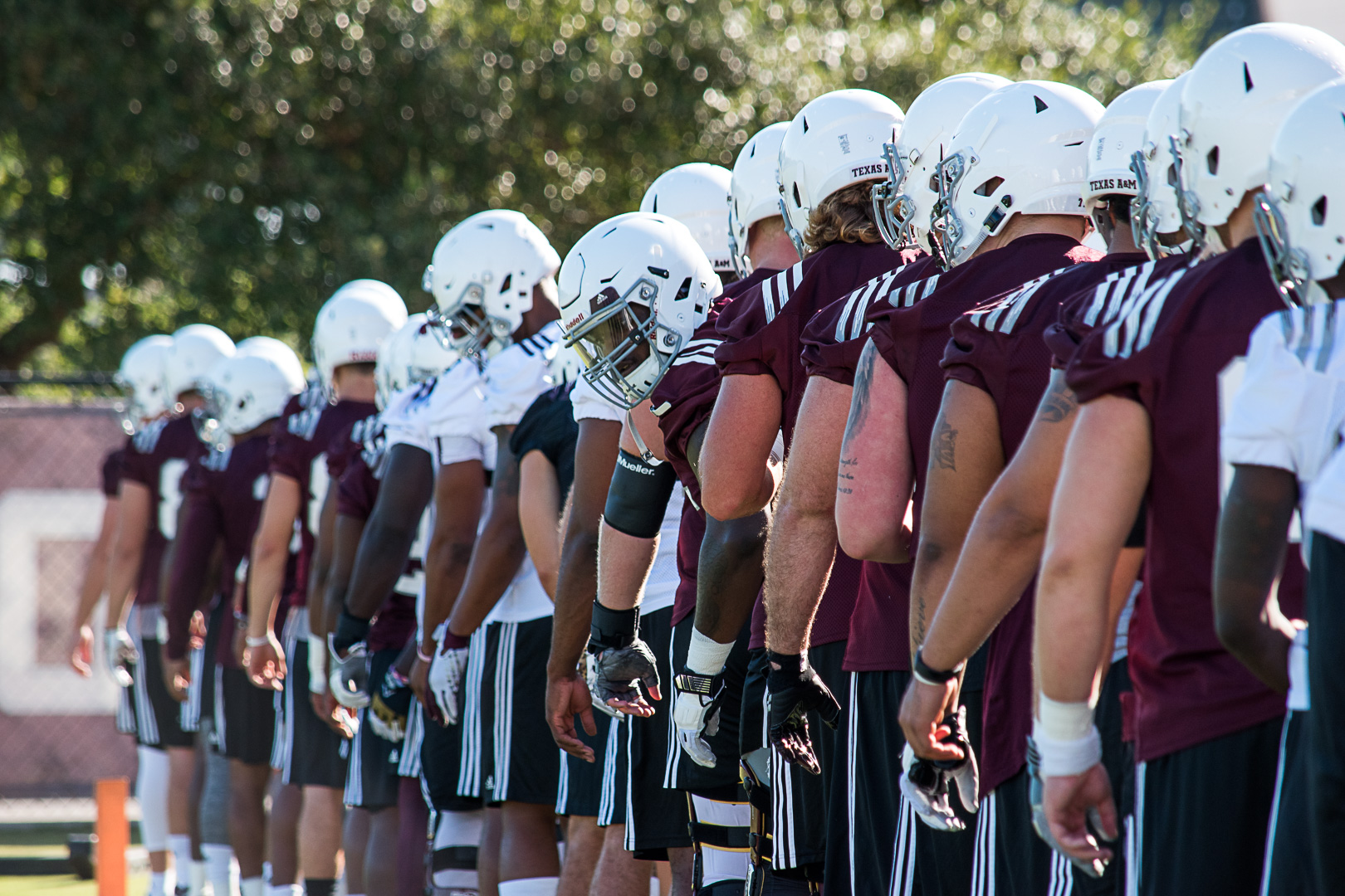 Fall Camp