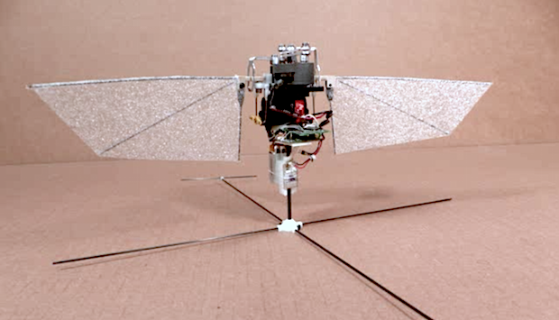 Robotic+hummingbird