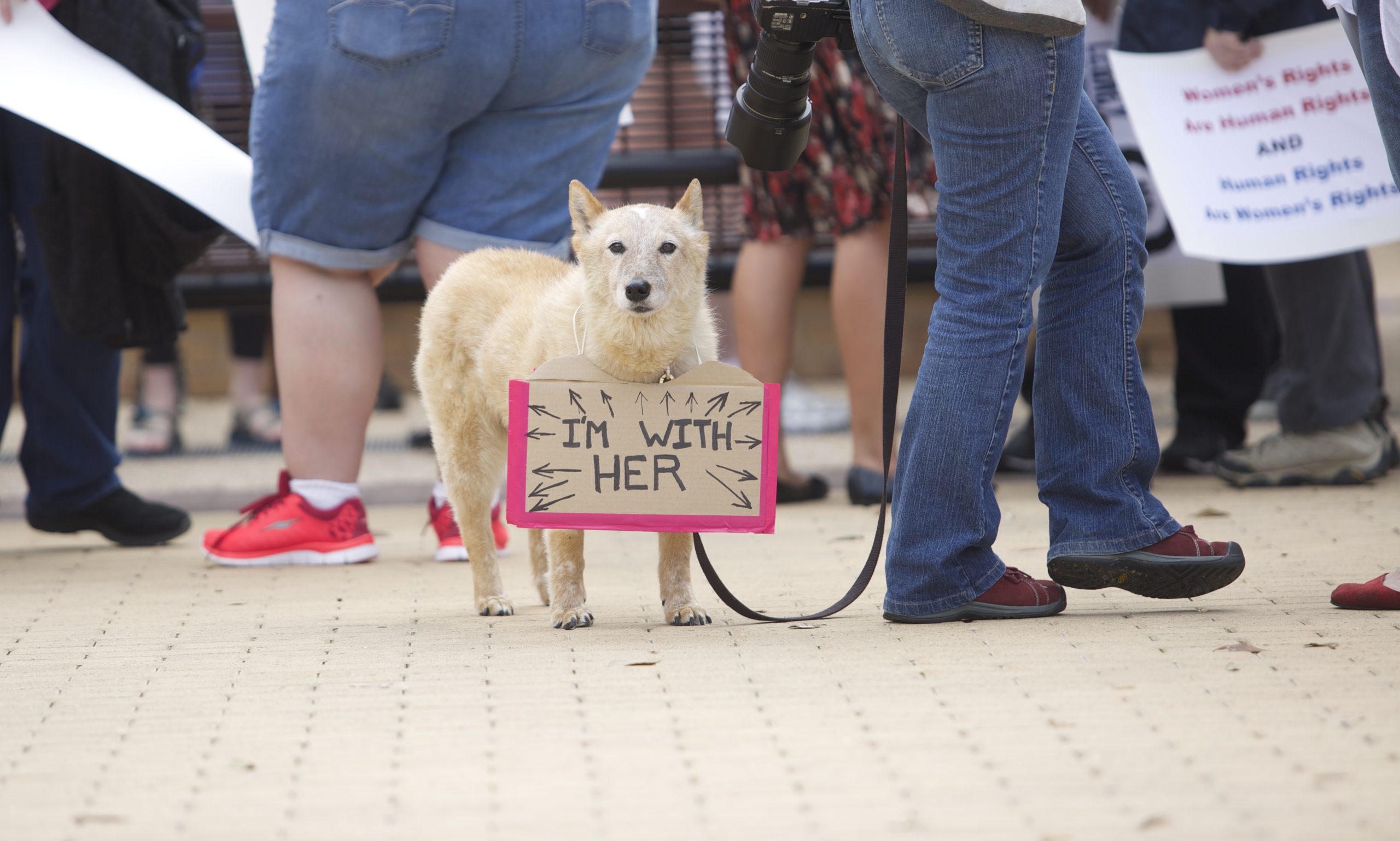 SLIDESHOW%3A+Womens+March