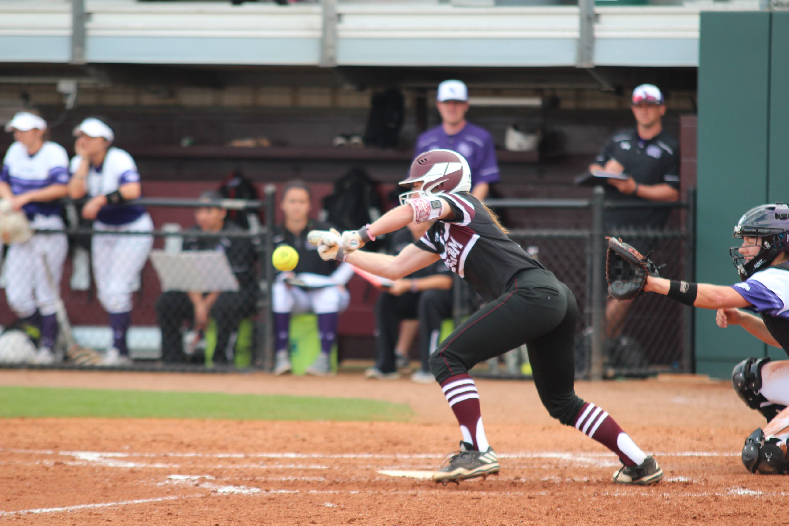 Slideshow%3A+Aggie+Softball+defeats+SFA+8-7+in+Texas+A%26M+Invitational