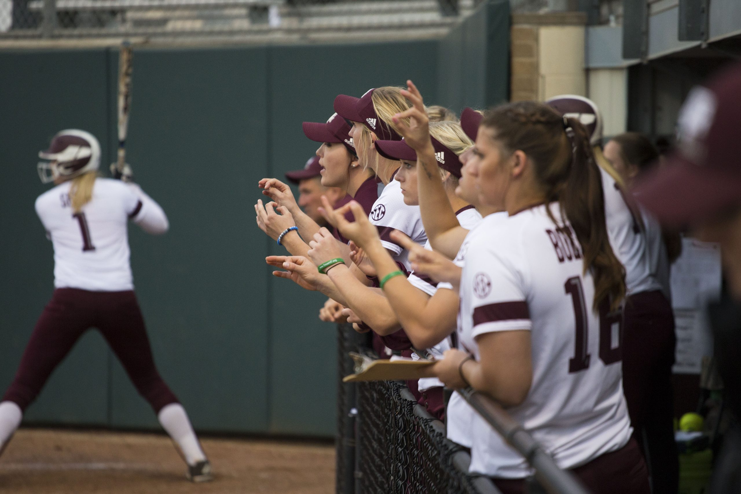 Softball vs. Georgetown Slide Show