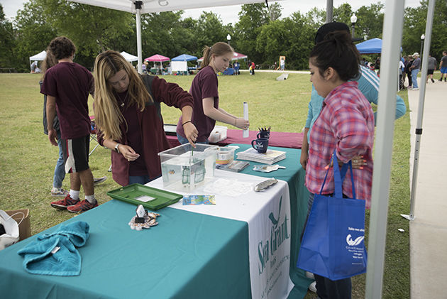 Brazo's Valley Earth Day Festival