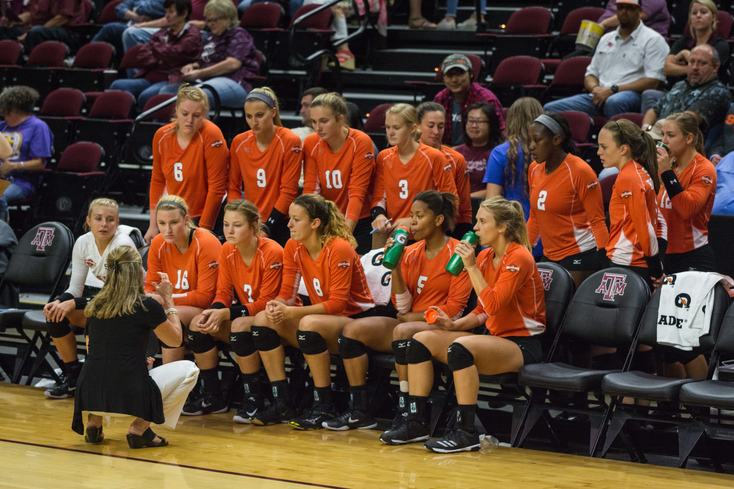 Texas A&M vs. Sam Houston State