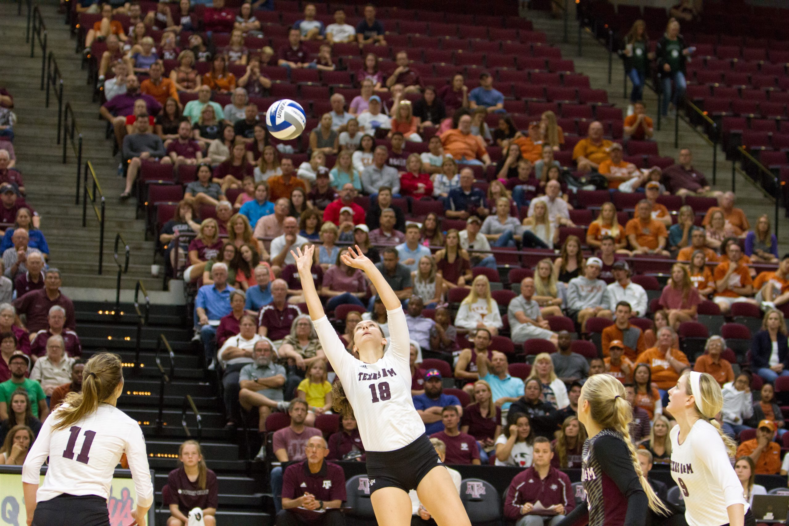 Texas A&M vs. Texas