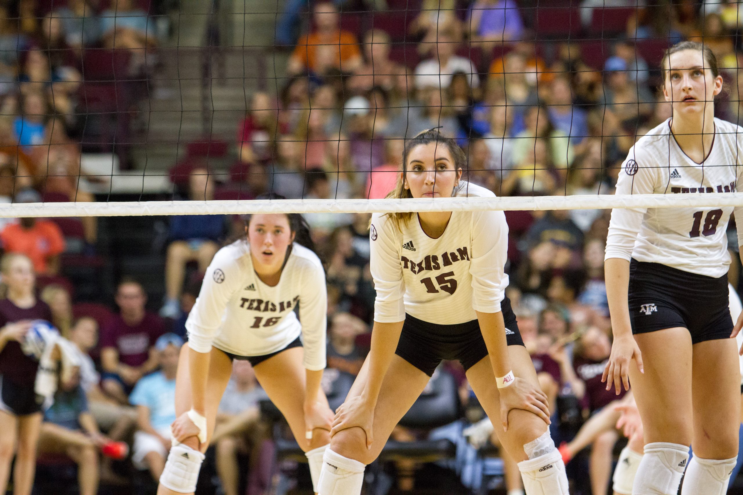 Texas A&M vs. Texas