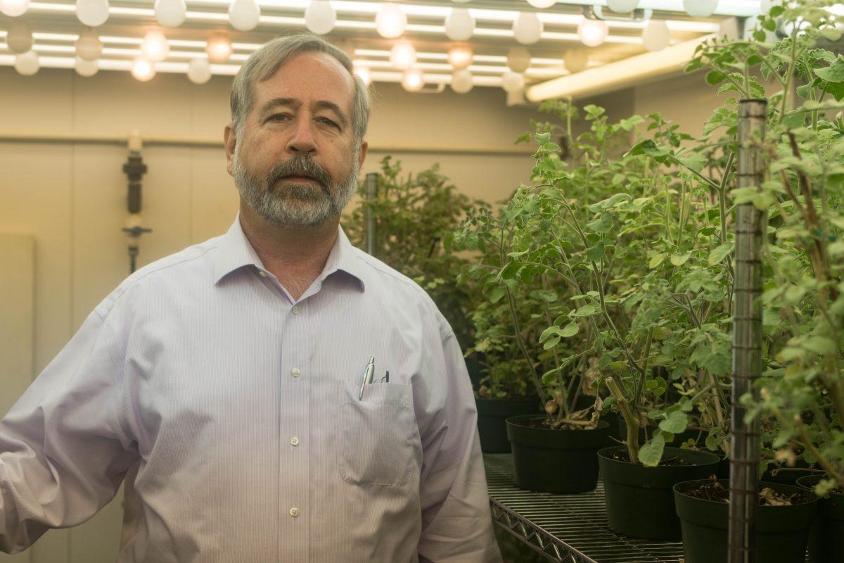Thomas McKnight, the head of the biology department, is researching ways to save crops from destruction by insects. 