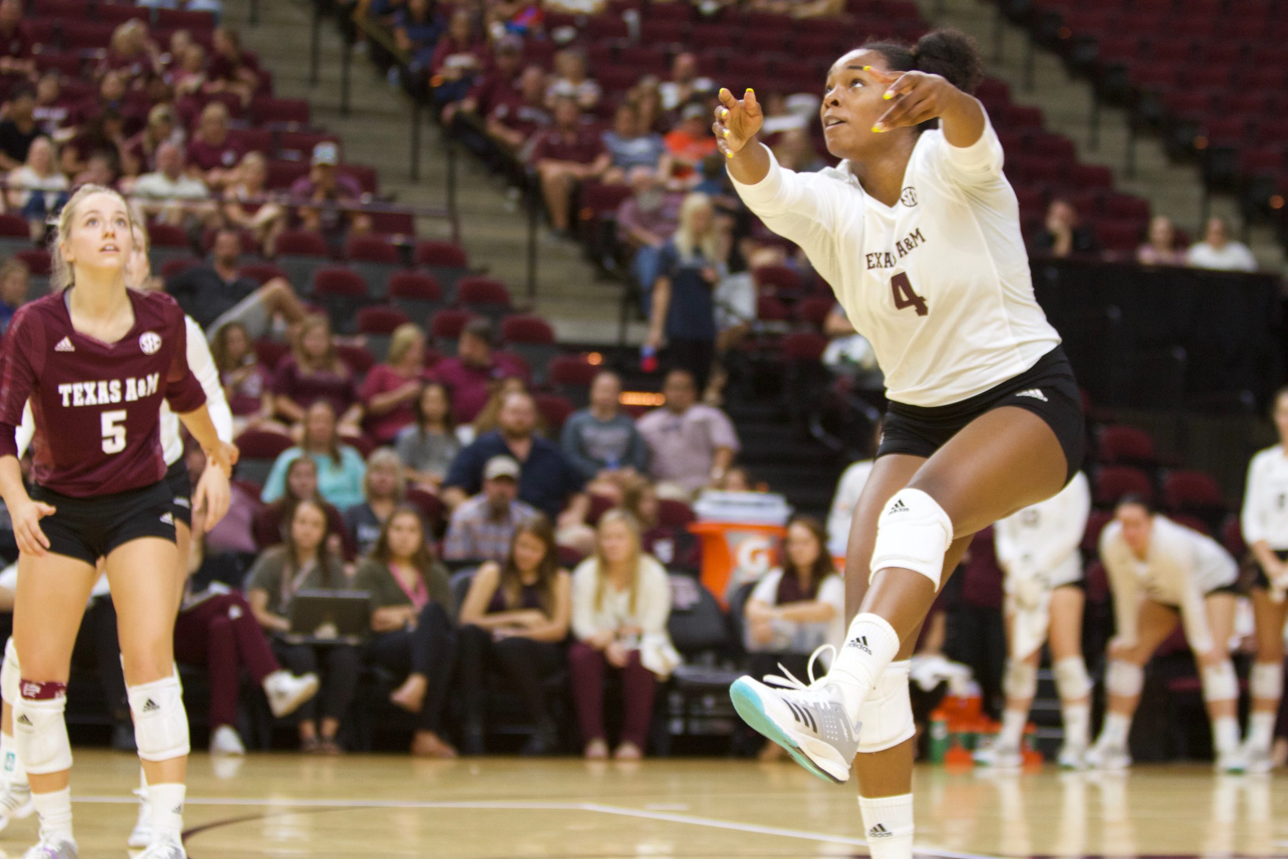 Texas+A%26M+vs.+Mississippi+State+Volleyball