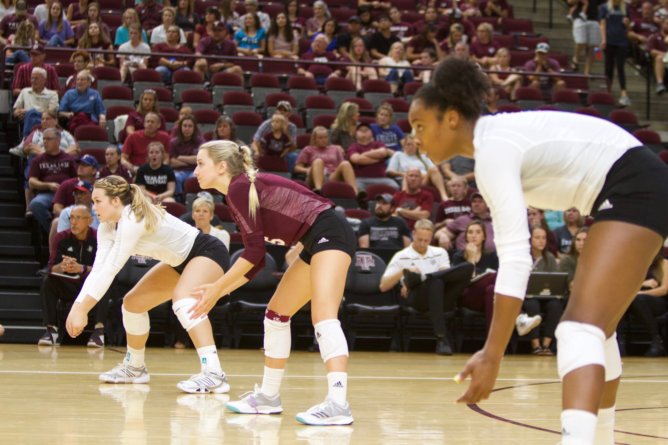 Texas A&M vs. Mississippi State Volleyball