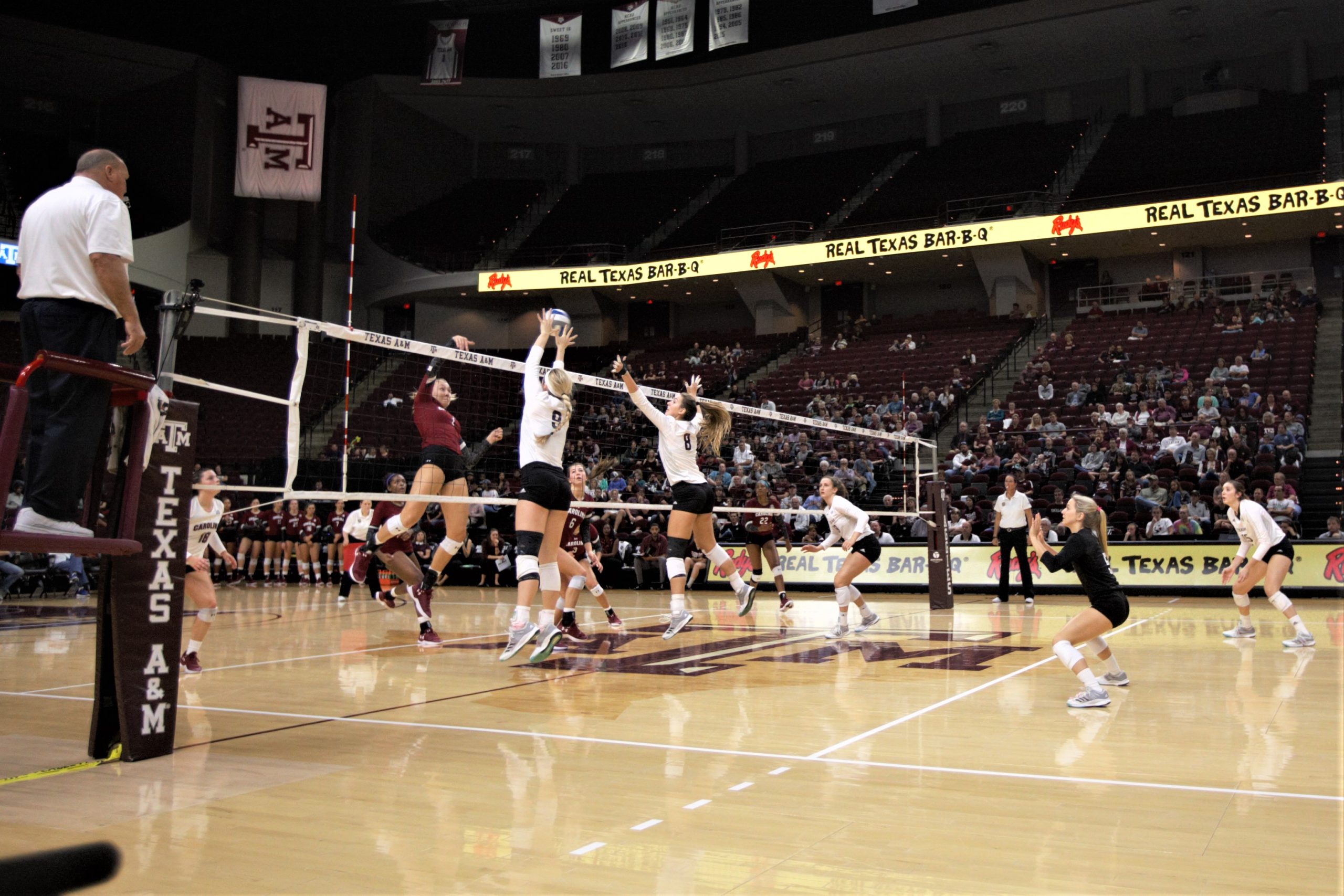 Volleyball+vs.+South+Carolina