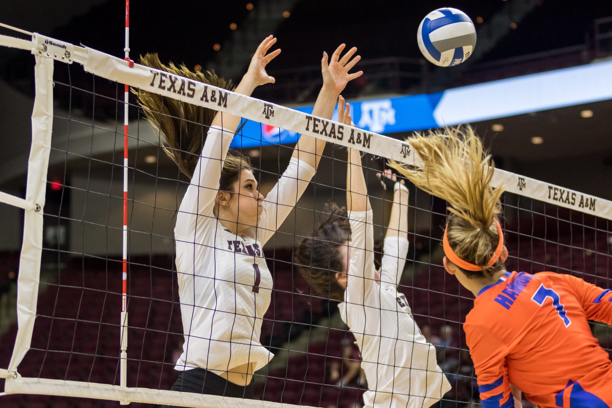 Texas+A%26M+Volleyball+v.+Florida