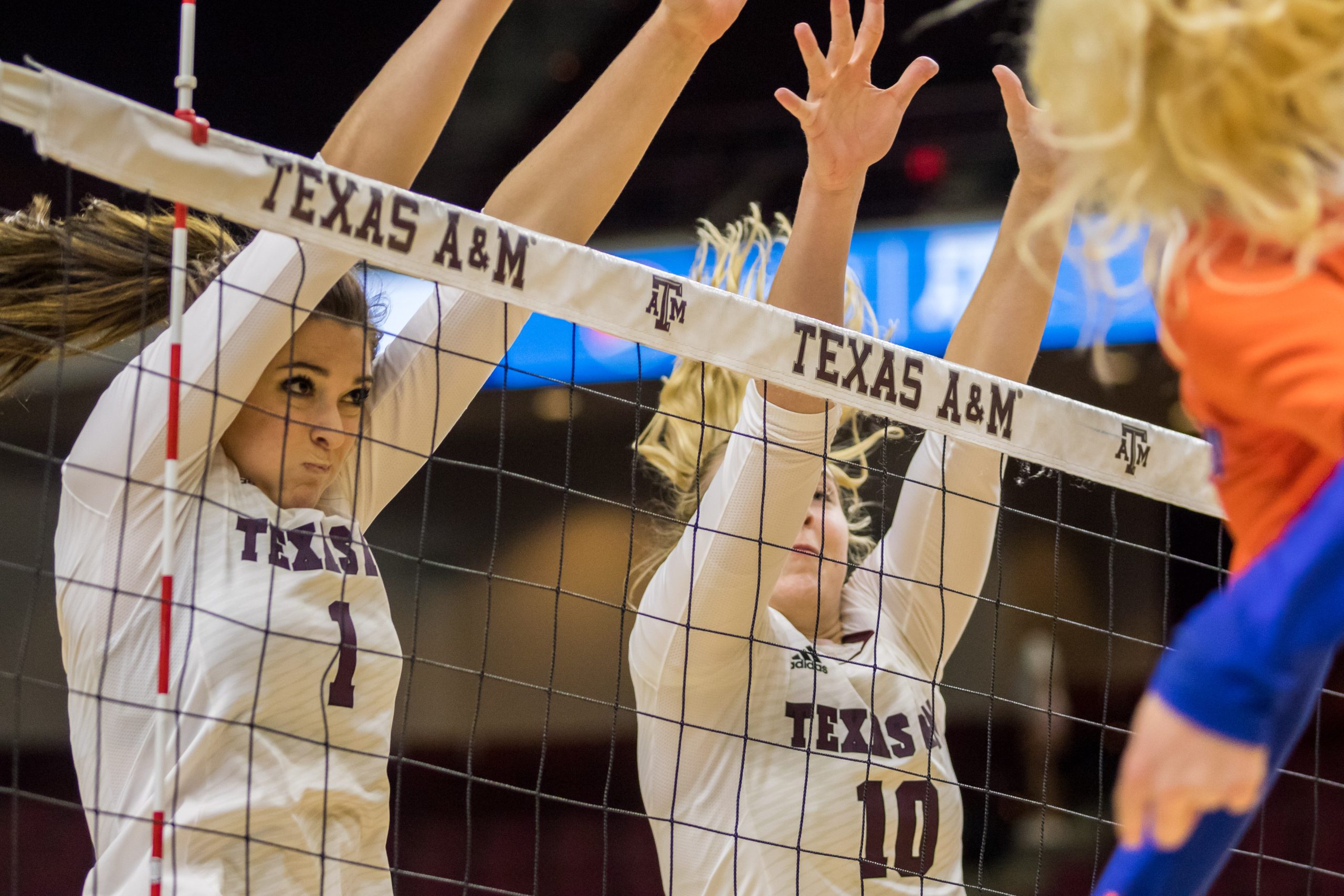 Texas+A%26M+Volleyball+v.+Florida