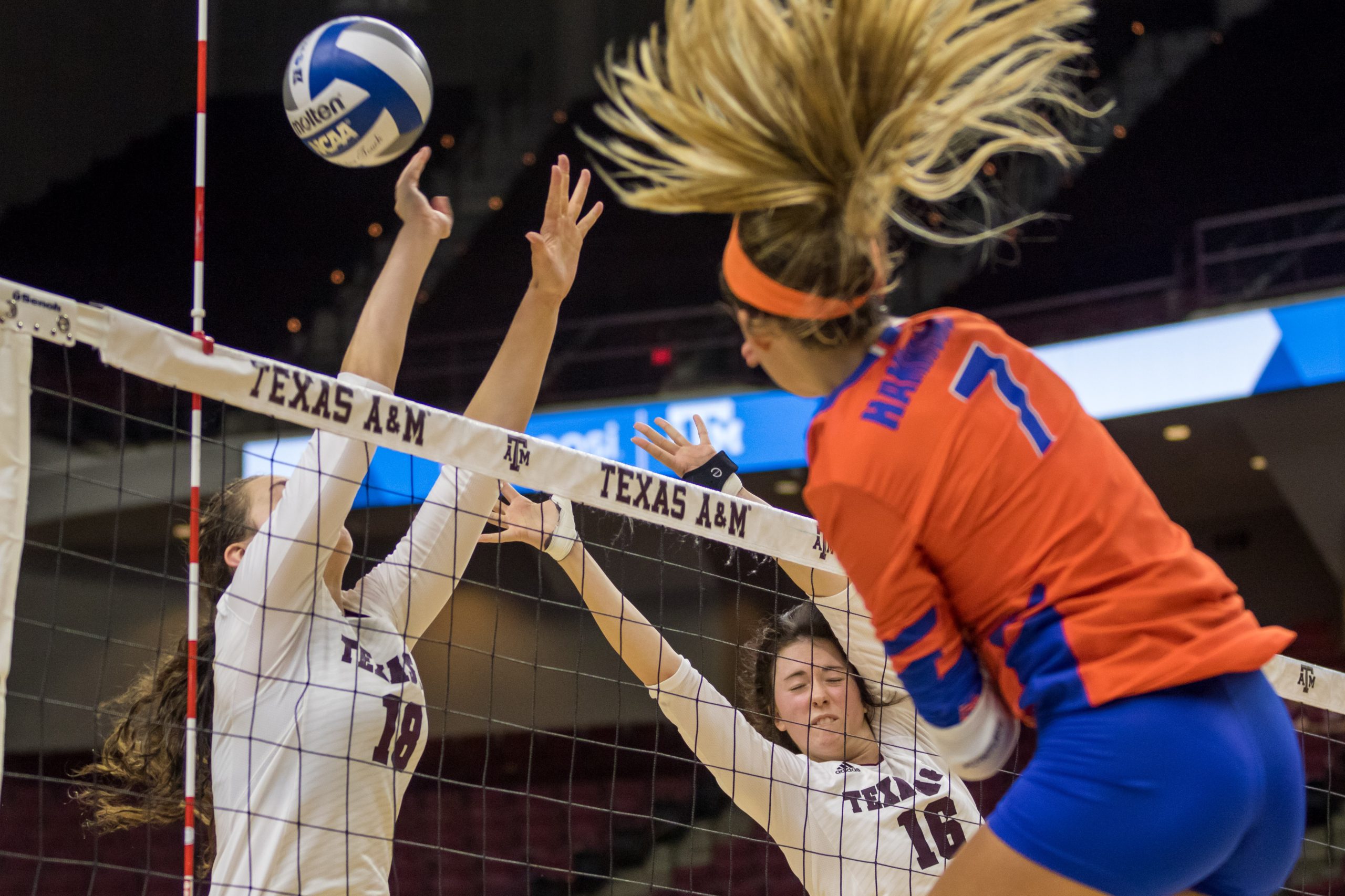 Texas+A%26M+Volleyball+v.+Florida