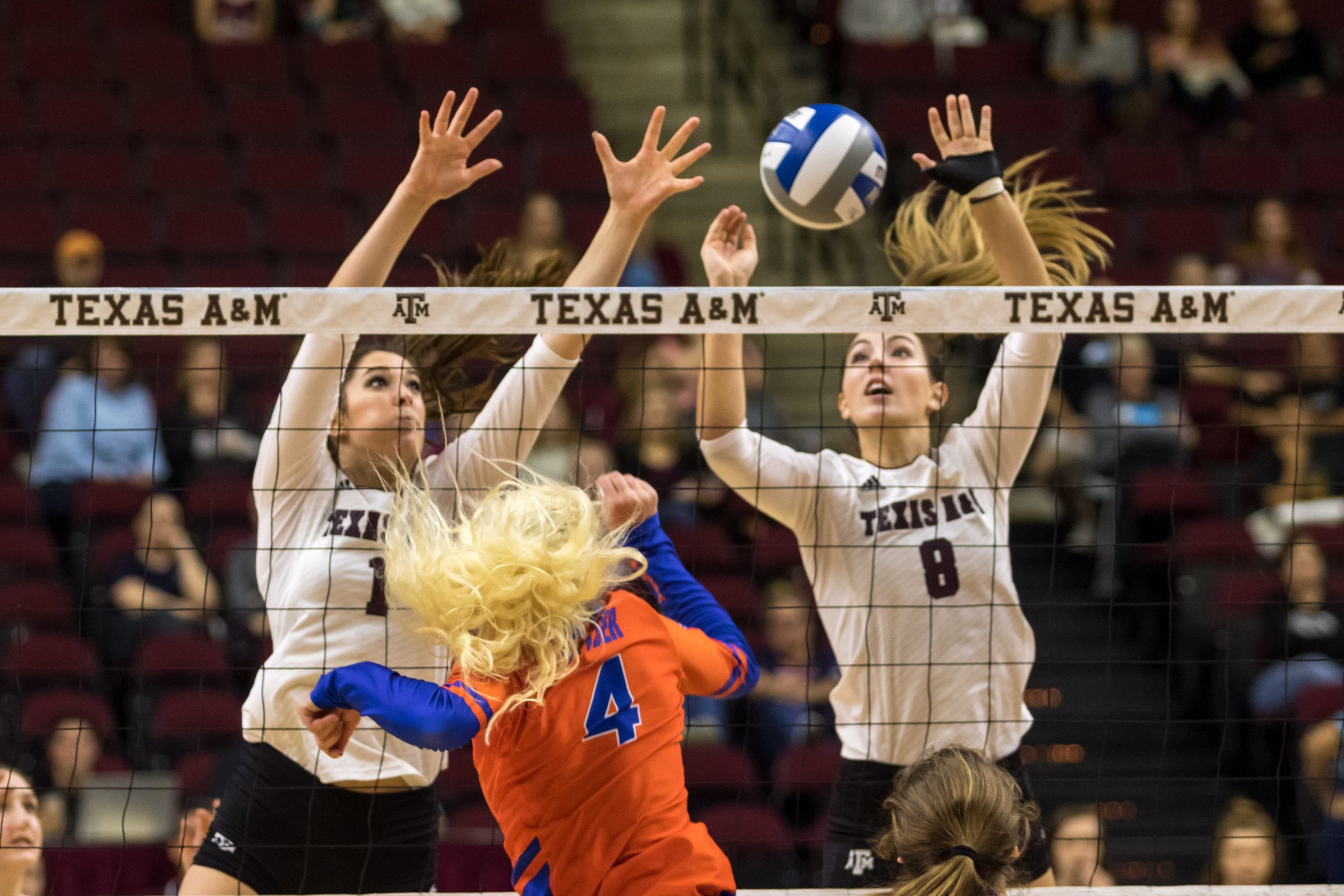 Texas+A%26M+Volleyball+v.+Florida