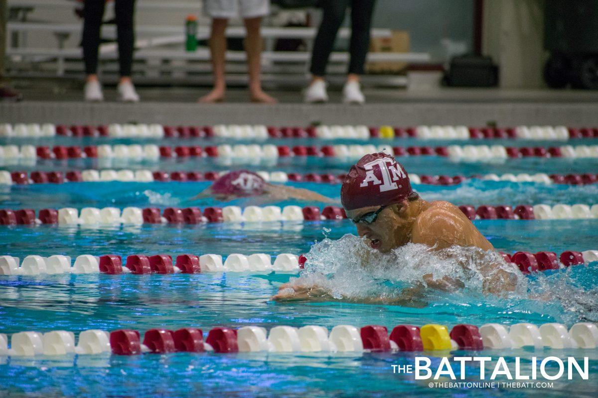 Senior Mario Castillo Luna&#160;fights off the competition in the breast stroke.