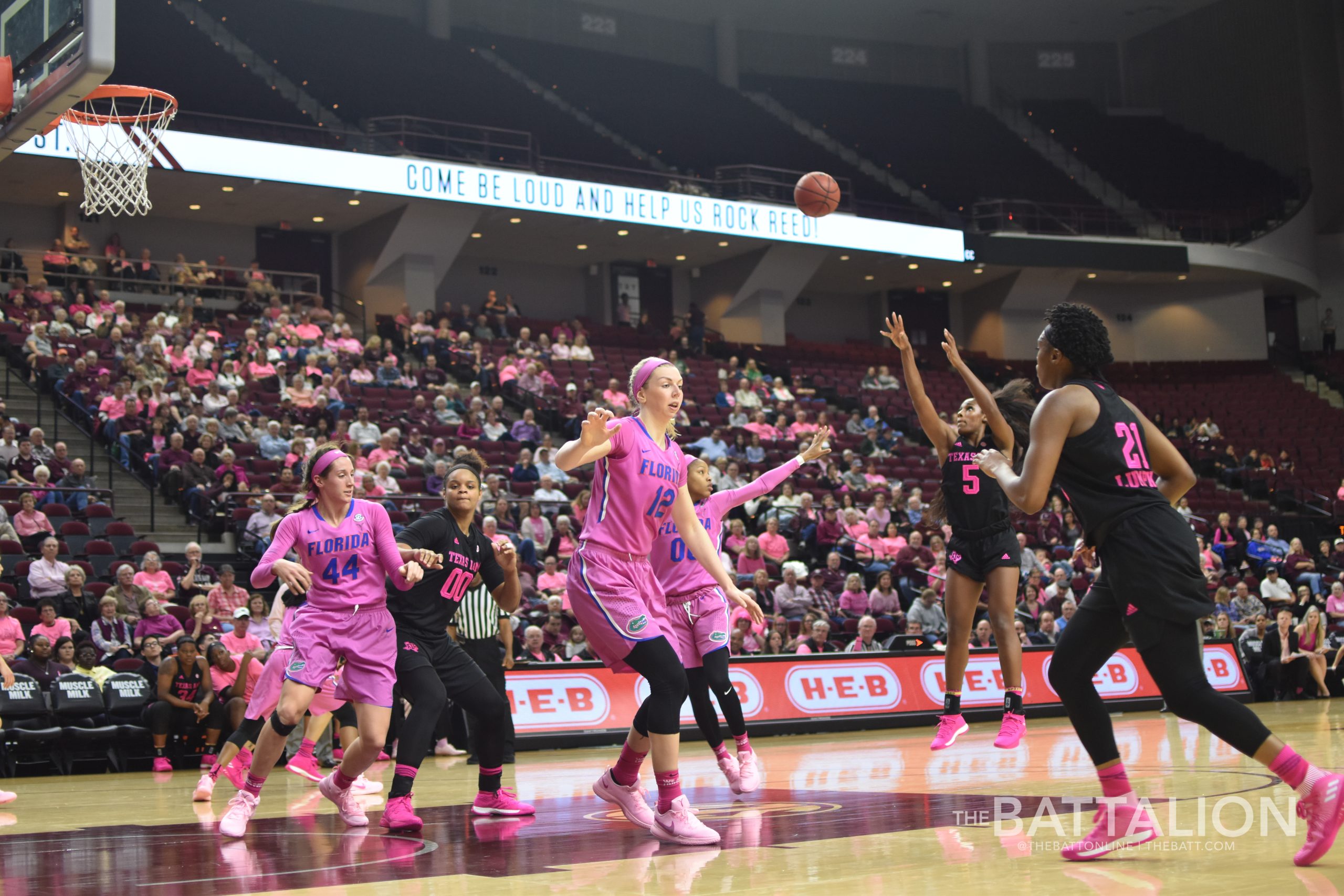 Women's Basketball vs. Florida