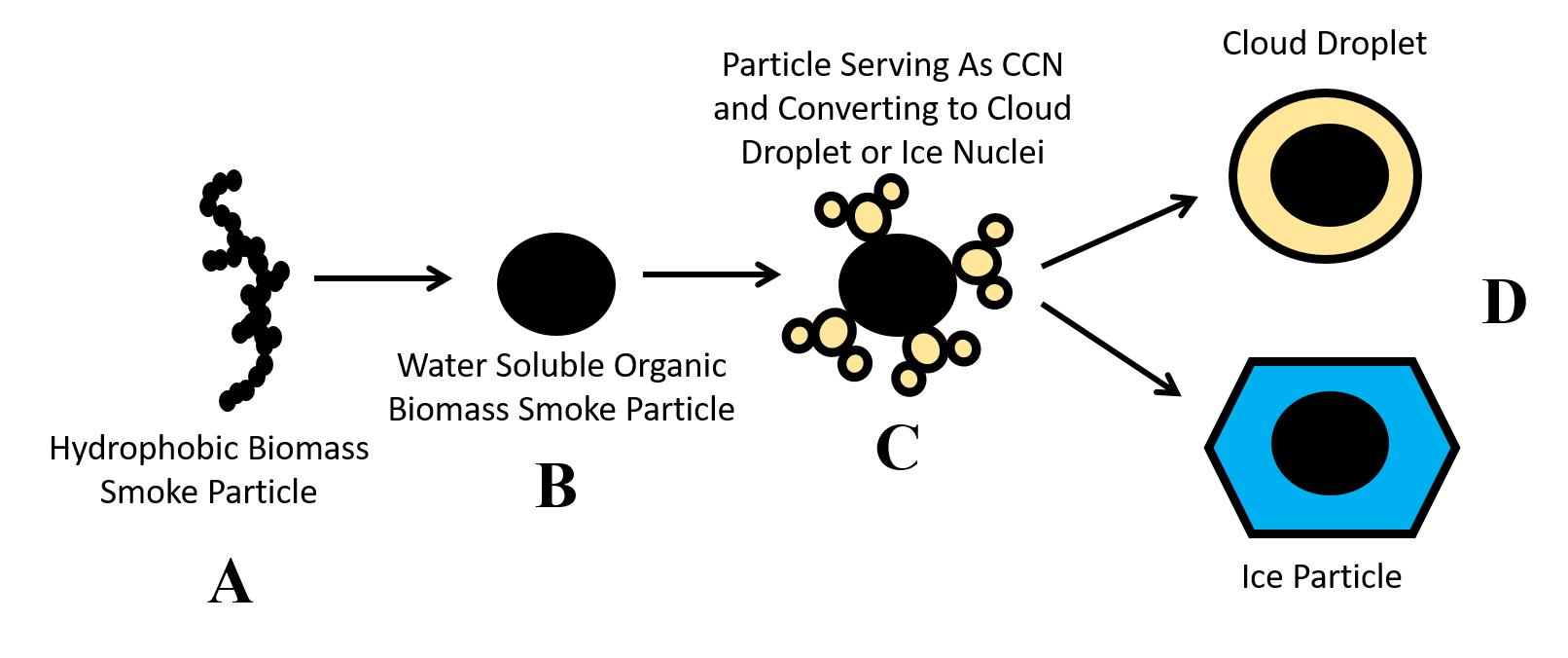 A%26M+professor+studies+effects+of+aerosols