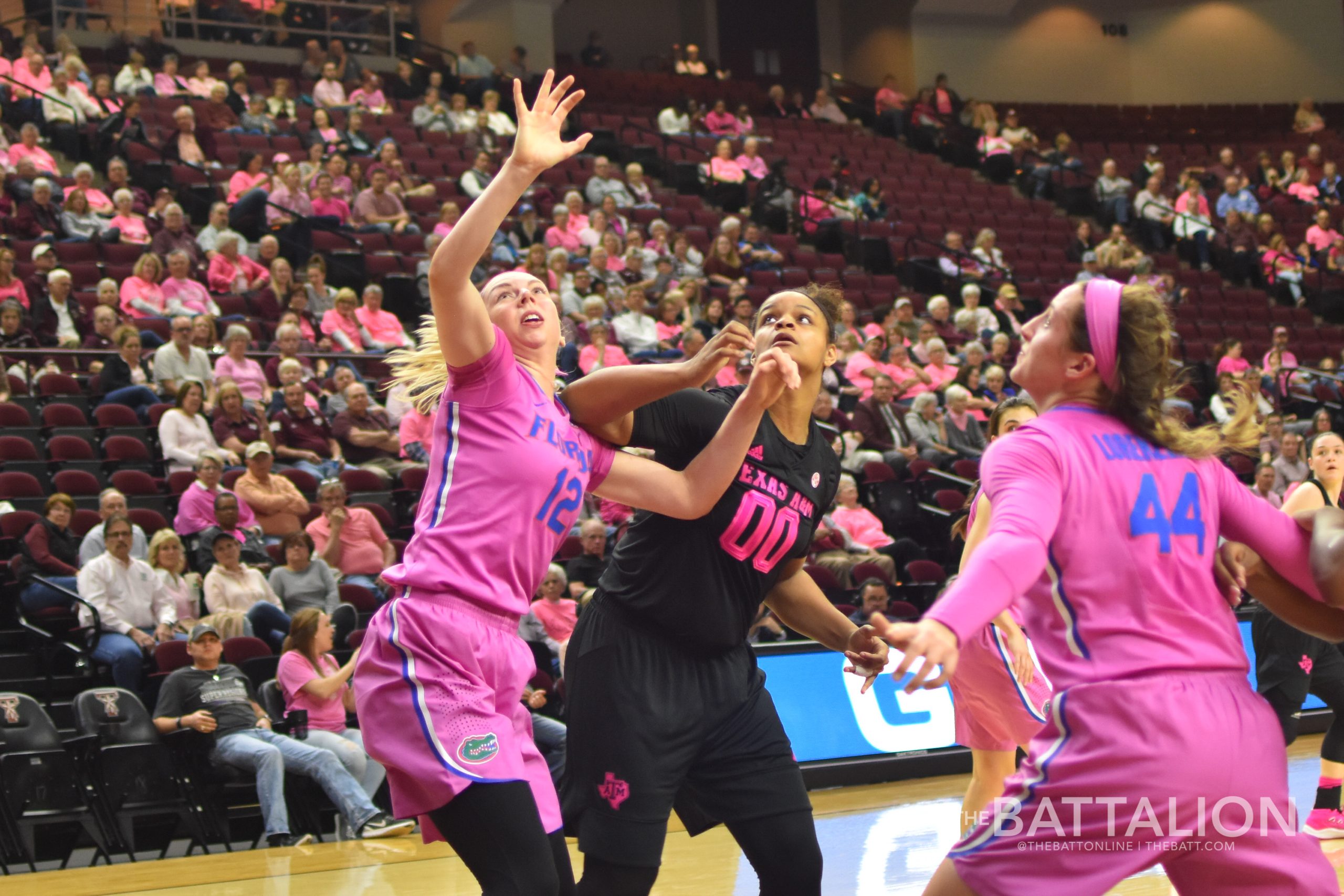 Women's Basketball vs. Florida