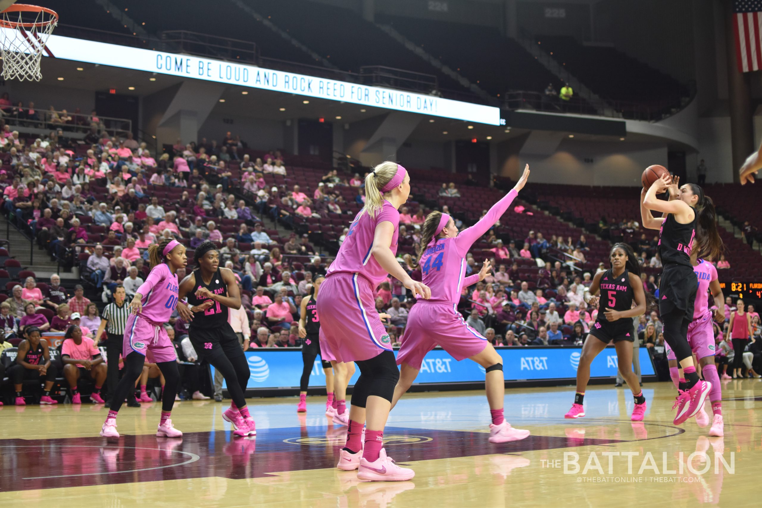 Women's Basketball vs. Florida