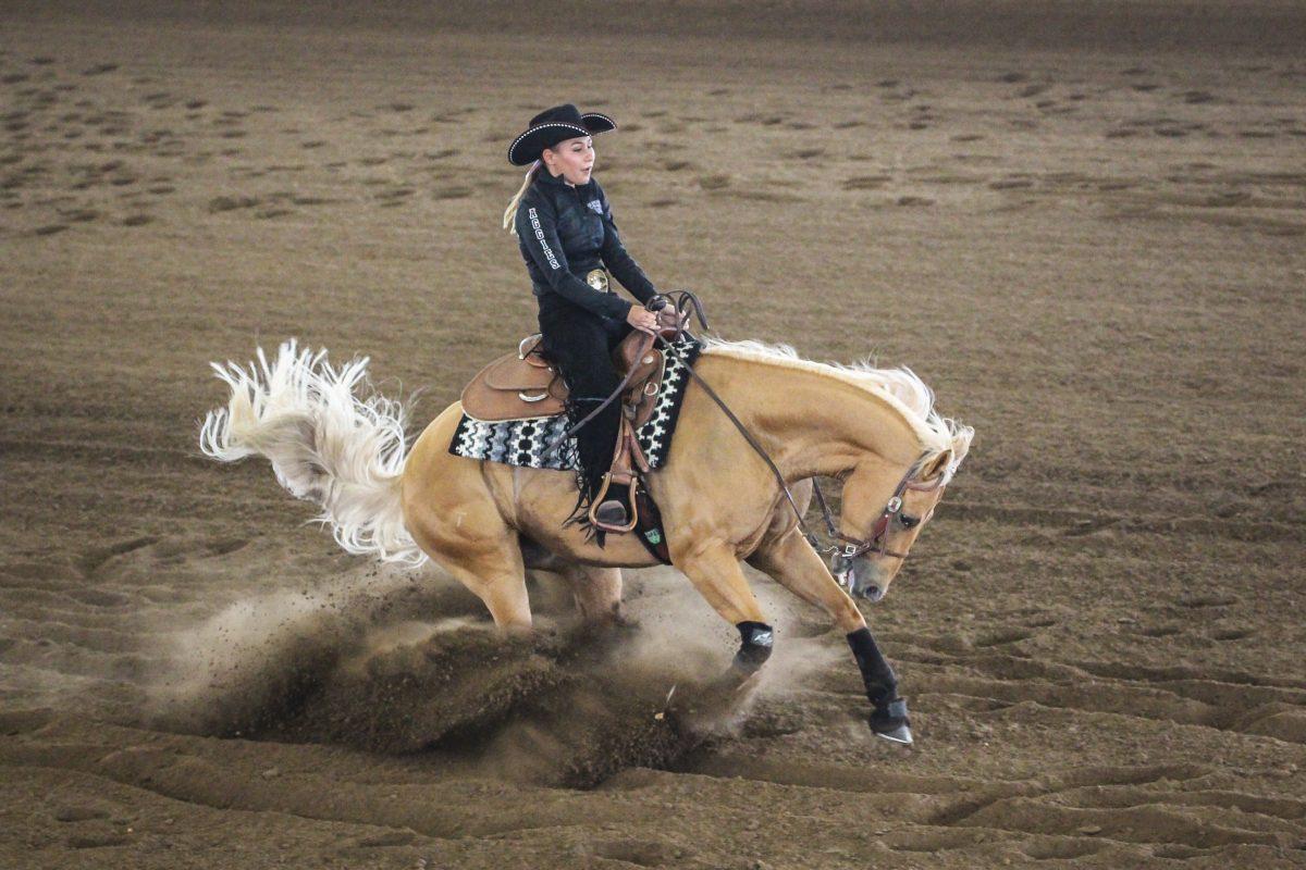 The No. 1 Texas A&M equestrian team will host No. 7 TCU Thursday at the Hildebrand Equine Complex. 