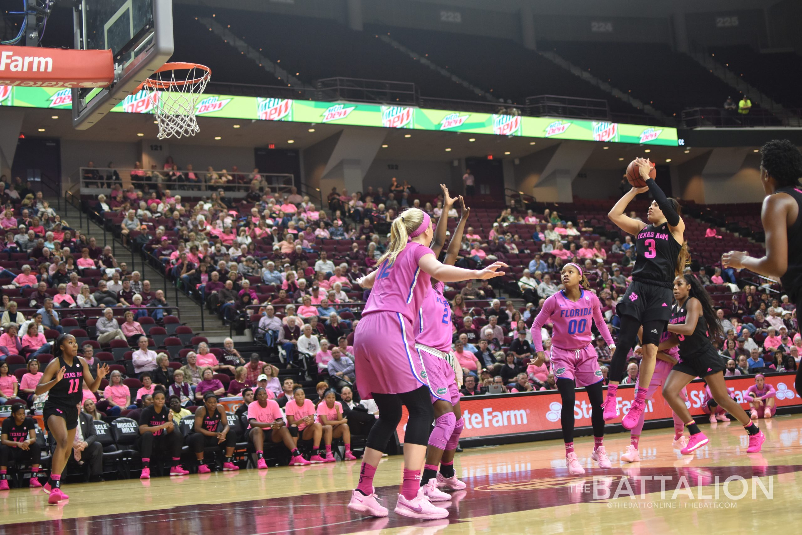 Women's Basketball vs. Florida