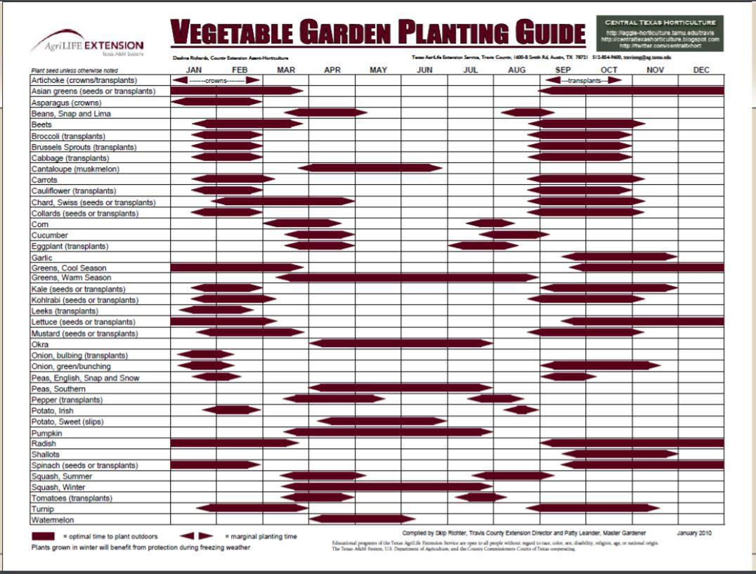 Vegetable garden planting guide