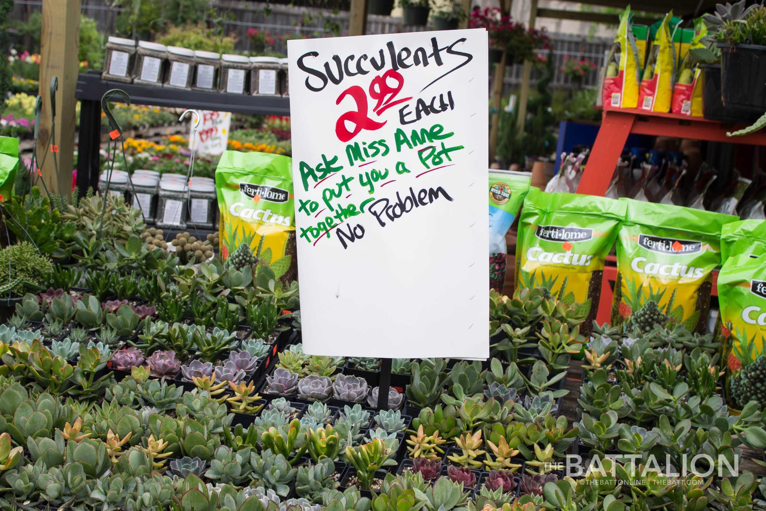 Local family business serves fresh produce in the B-CS area for nearly 45 years