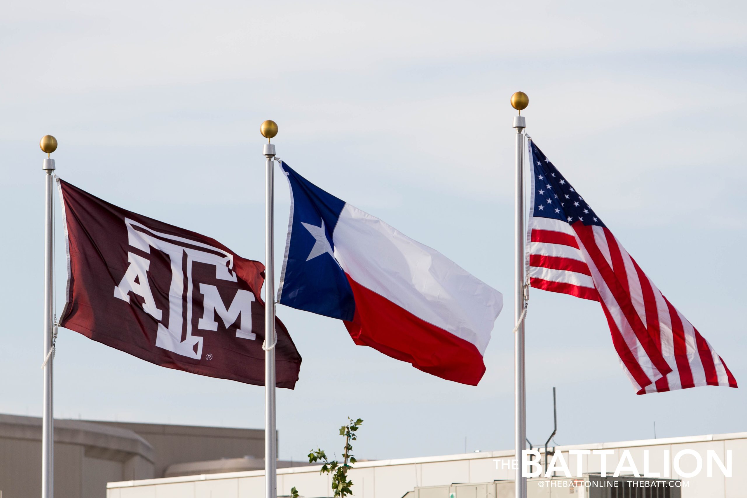 Texas A&M Softball vs. Auburn