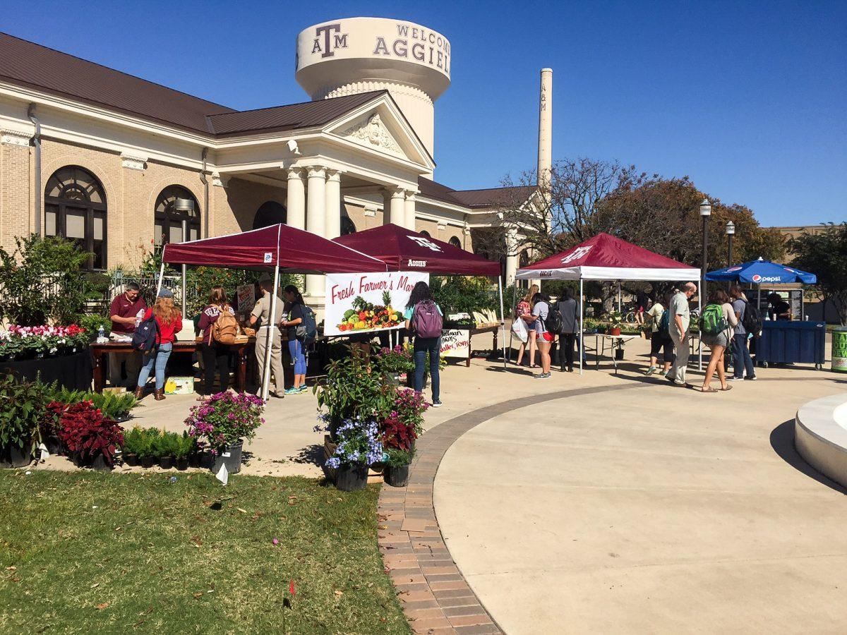 Vendors will gather at Sbisa Dining Hall for a farmer’s market on Tuesday.