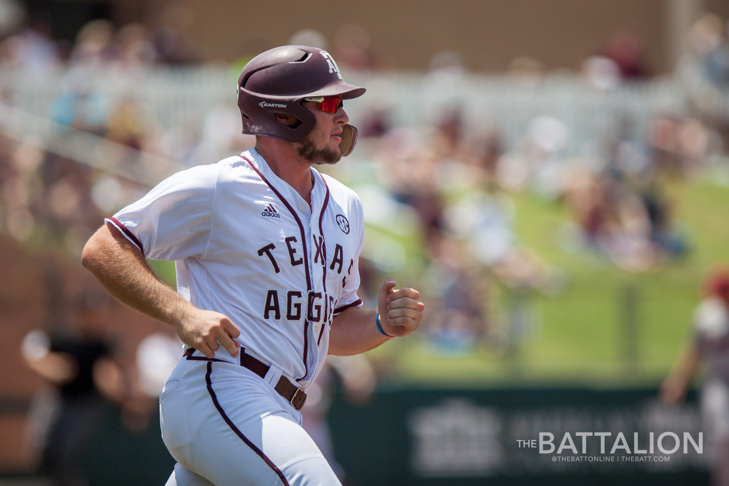 Baseball vs. South Carolina 3