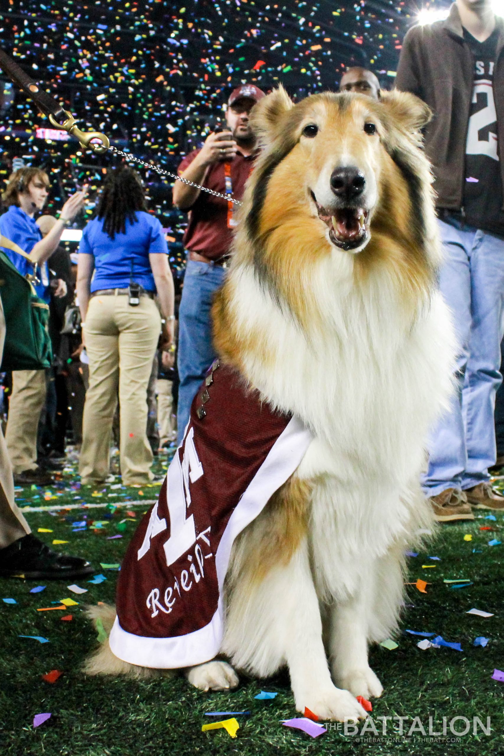 Remembering Reveille VIII