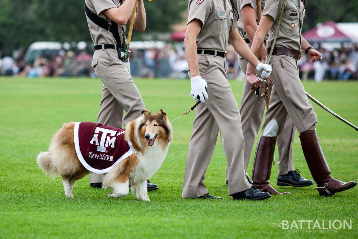 During+the+first+pass+of+Final+Review%2C+Reveille+VIII+marched+in+with+her+handler+for+the+last+time.+Her+successor%2C+Reveille+IX+stepped+into+the+mascot+roll+and+stepped+off+with+the+cadets+for+the+second+pass+of+Final+Review.