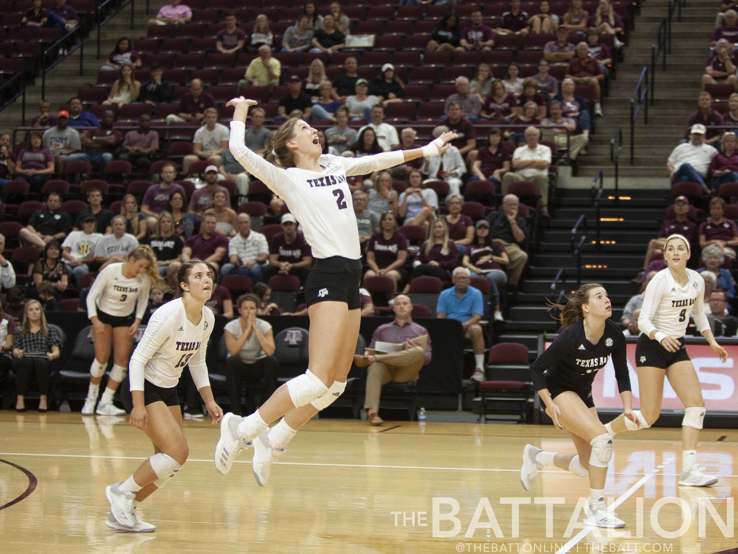 Texas+A%26M+Volleyball+vs.+Pepperdine